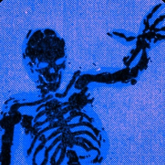 Meet your Posher, Riley - Picture 1 of 1